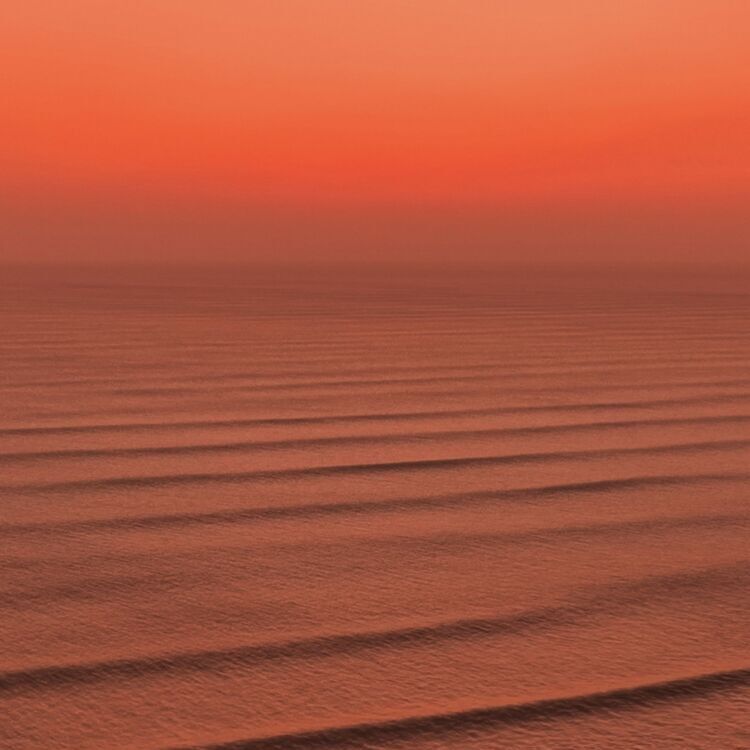 Sunset Lovers
