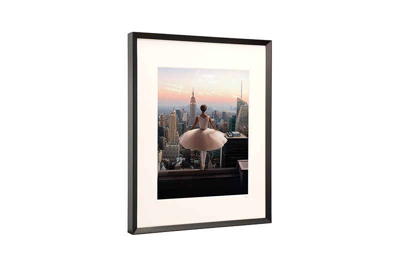 Fabien Novarino Diptych