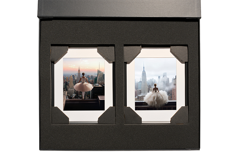 Fabien Novarino Diptych