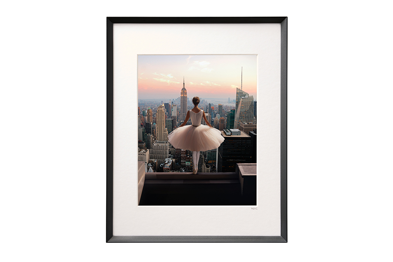 Fabien Novarino Diptych